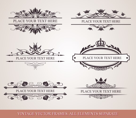 Calligraphic elements Royalty Free Vector Image