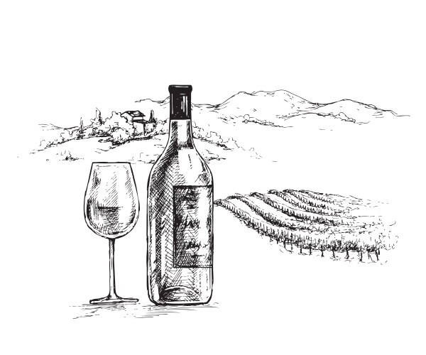 Rustic Wine Bottle & Glass Sketch Vector Image
