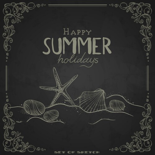 Chalkboard Seashell Sketch Vector Image