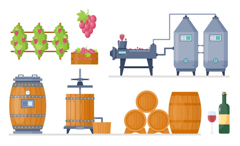 Grape wine production with alcoholic fermentation – Royalty-Free Vector ...