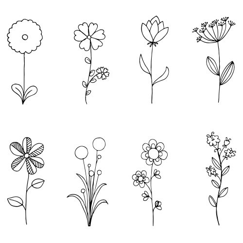 Doodle Wildflower Collection Vector Image