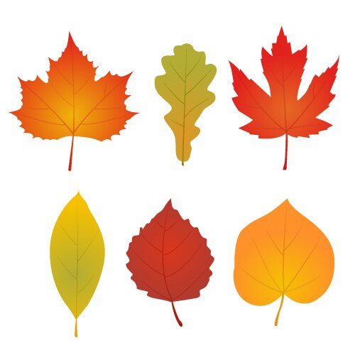 Flat autumn forest leaves collection isolated Vector Image