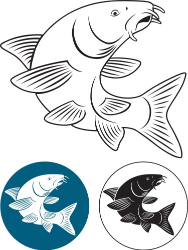 Common Carp Silhouette Vector Image