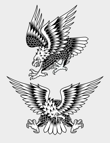 Screaming Eagle Emblem Vector Image