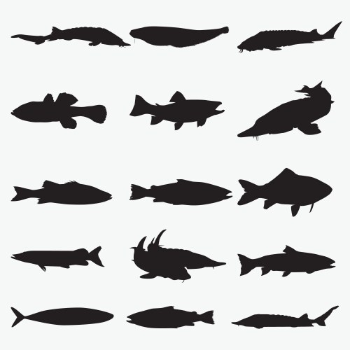 Fish Silhouettes - Aquatic Collection Vector Image