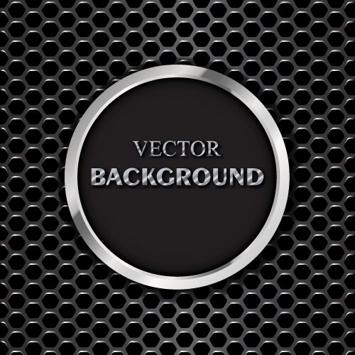 Metal round button on stainless steel perforated Vector Image