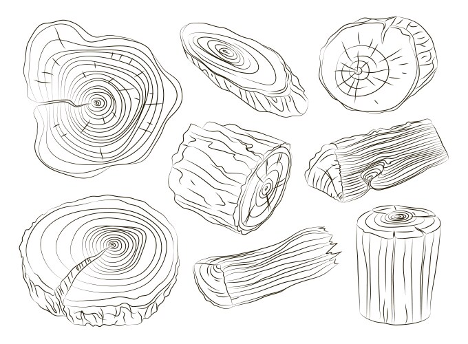 Wood stumps set Royalty Free Vector Image - VectorStock