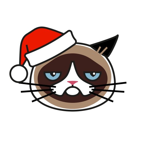 Grumpy cat in christmas hat isolated on white vector image