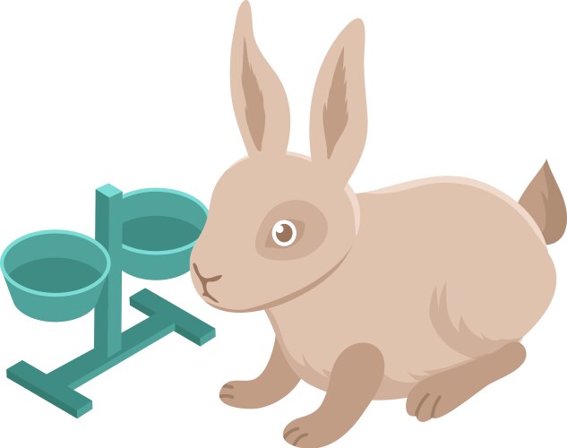Free Rabbit Isometric Vector Isometric Rabbit Vector Images (over 2,400)