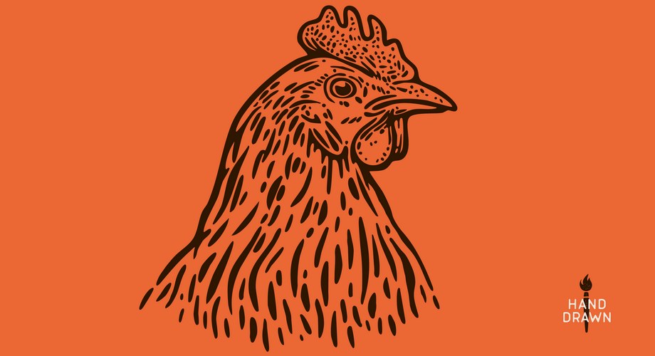 Vintage Farm Hen Sketch Vector Image