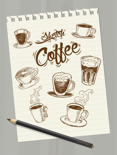 Coffee Sketch on Paper Vector Image