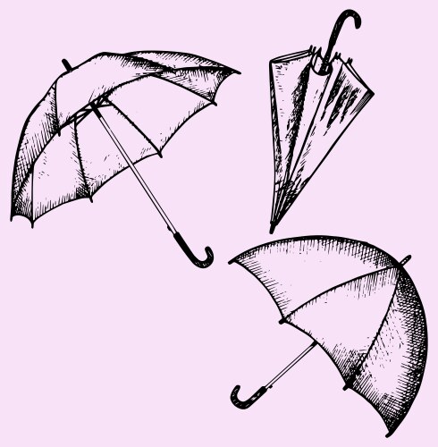 umbrella vector image