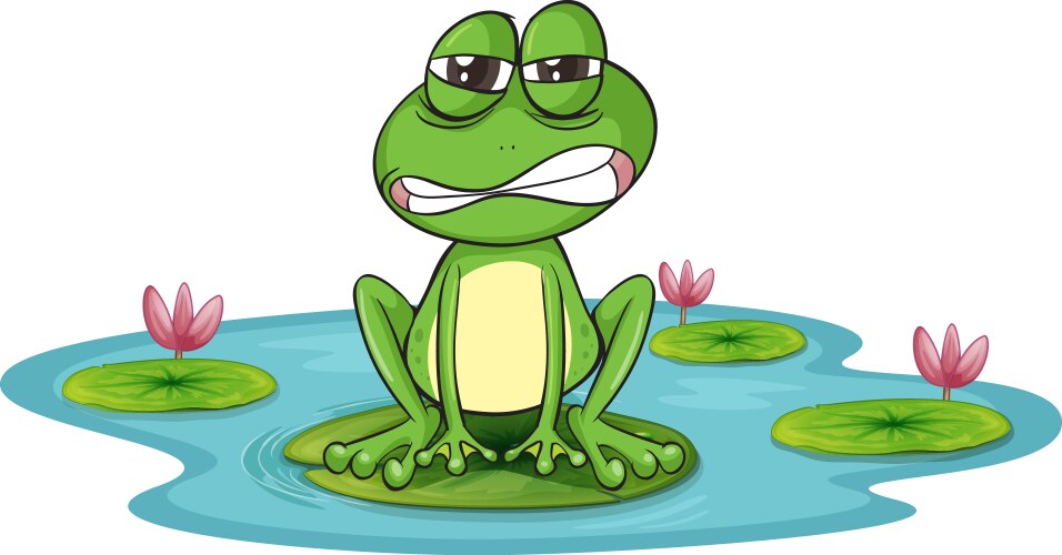 A frog and water Vector Image
