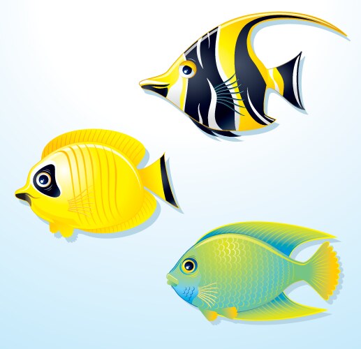 Collection of tropical fish Royalty Free Vector Image