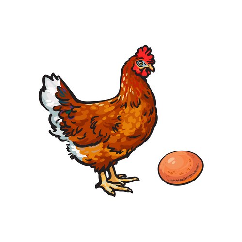 Hand Drawn Chicken Egg Sketch Vector Image