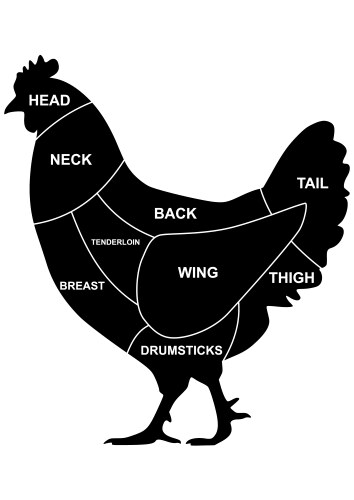 Chicken cuts Vector Image