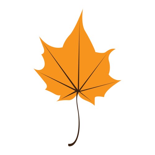 Orange maple leaf isolated on white background Vector Image