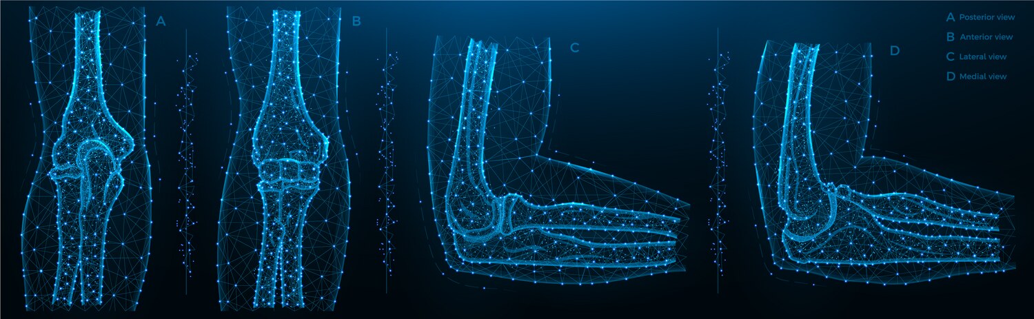 Blue polygonal elbow joint Vector Image