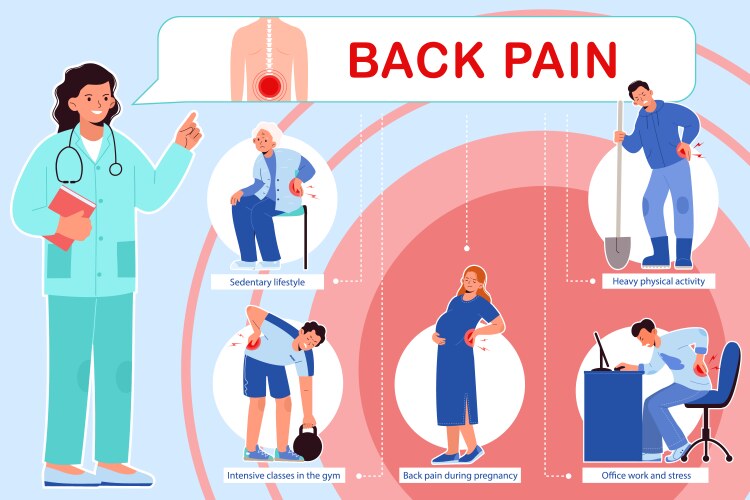 back pain flat infographics vector