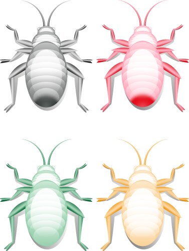 colored bugs images vector image