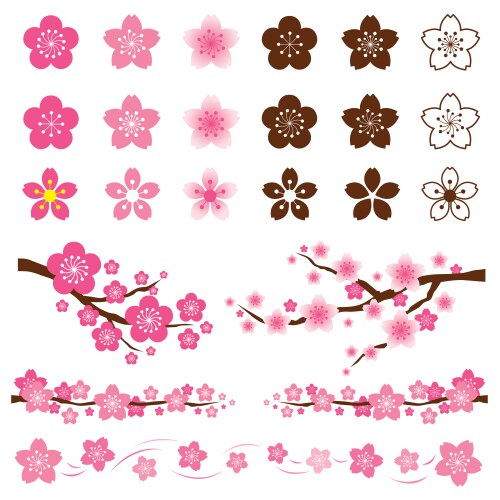Sakura Blossom Ornament Vector Image