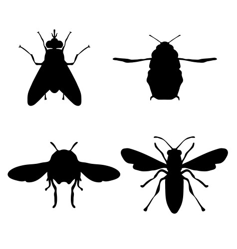 Bees vector image