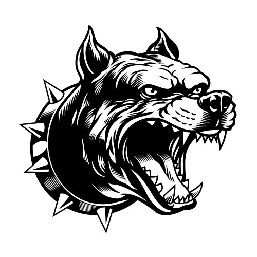 Tooth Drawing.pdf Charging Pitbull Artwork β Royalty-Free Vector | VectorStock