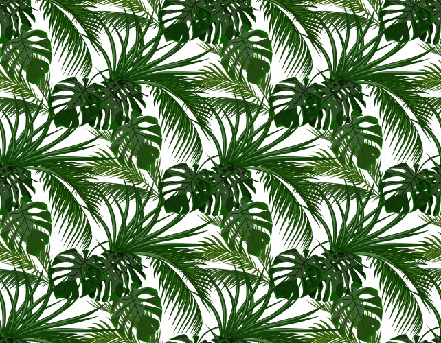 Tropical Palm Leaves Vector Image