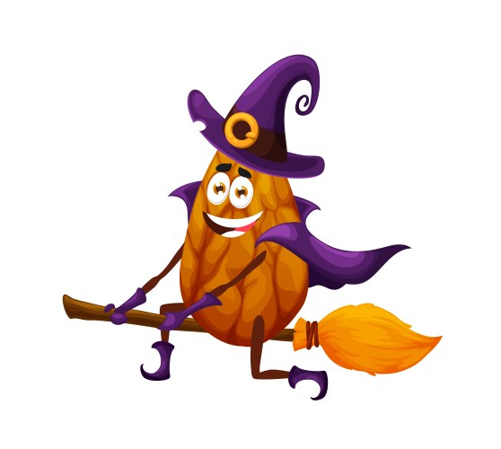 cartoon halloween witch almond character on broom vector image