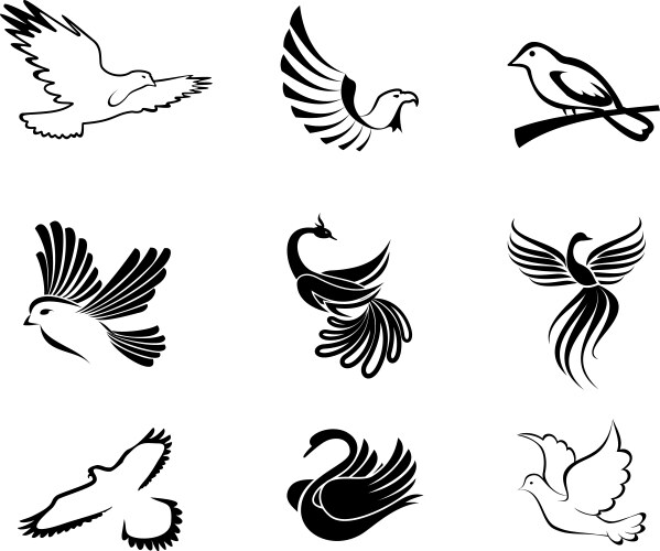 Collection of Bird Symbols Vector Image