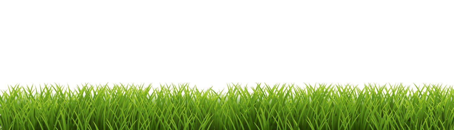 Green grass borders isolated white background Vector Image