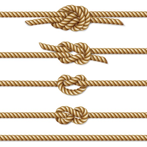 Yellow Rope Border with Knots – Royalty-Free Vector | VectorStock