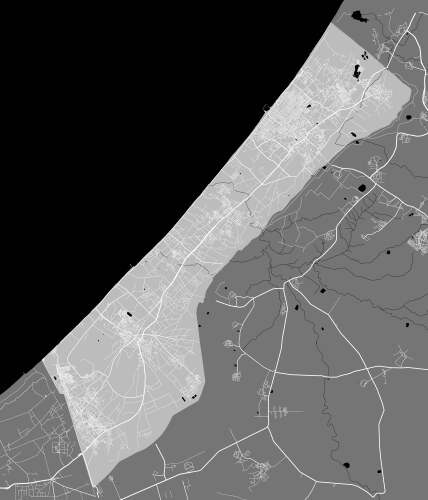 Detailed map gaza strip linear print land vector image