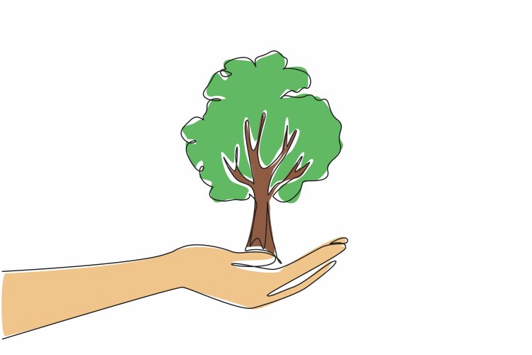 Palm Tree Line Drawing Vector Images (over 5 400)