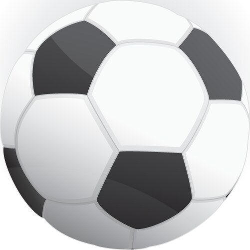 Leather soccer ball Royalty Free Vector Image - VectorStock