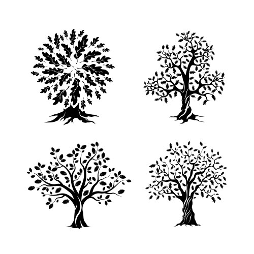 Tree Silhouettes & Roots – Royalty-Free Vector | VectorStock