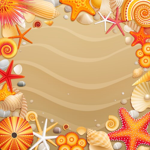 Shells and starfishes Royalty Free Vector Image
