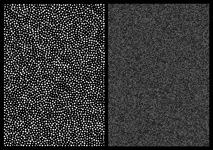 white random halftone dots pattern background vector