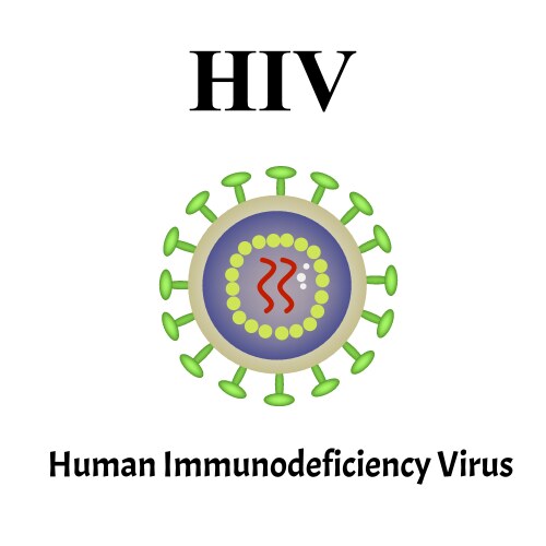 hiv virus structure viral infection aids vector image