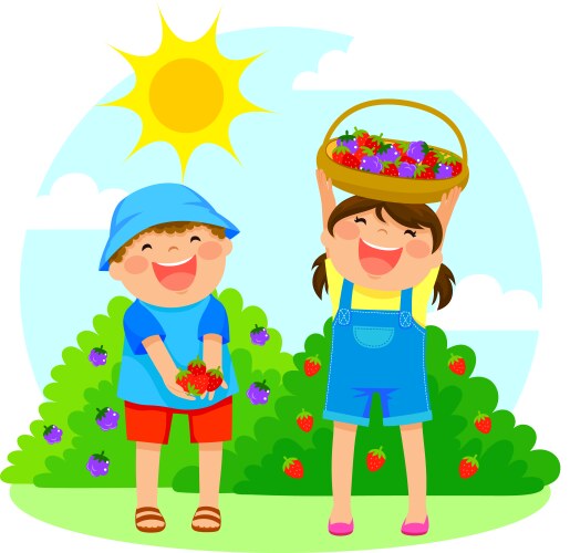 No picking fruit sign symbol on white background Vector Image