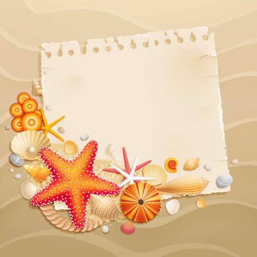 Shells and starfishes Royalty Free Vector Image