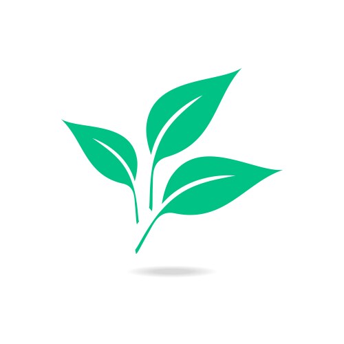 Eco icon with green leaf isolated on white Vector Image