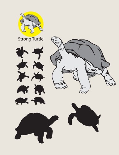 Set of turtle and tortoise silhouette Royalty Free Vector