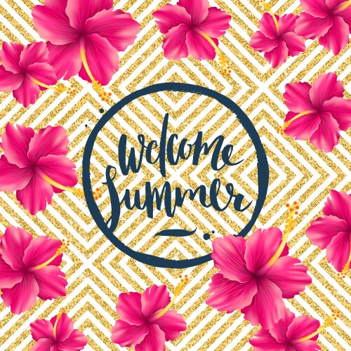 Welcome summer Vector Image