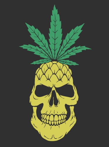 Pineapple like a skull with leaf of marijuana Vector Image