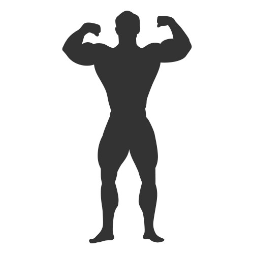 Bodybuilder double biceps pose silhouette high Vector Image