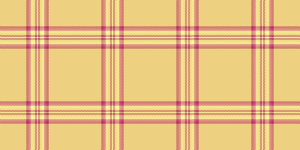 Classical check texture overlay pattern fabric vector image