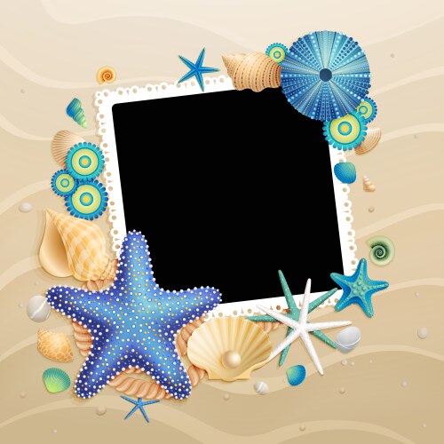 Shells and starfish Royalty Free Vector Image - VectorStock
