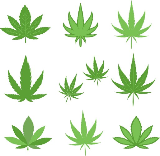 Cannabis Leaf Icon (9591090) – Royalty-Free Vector | VectorStock