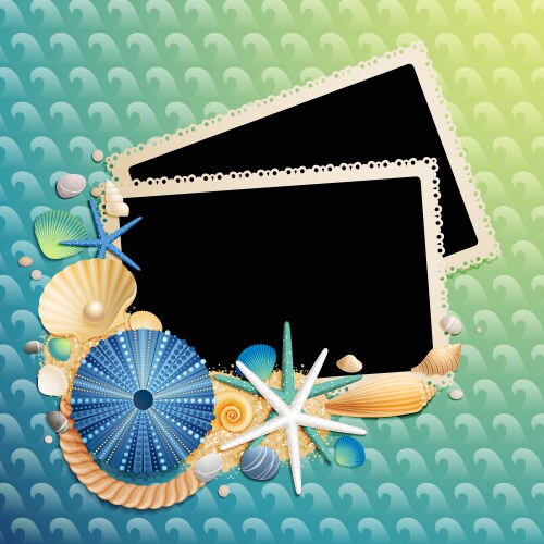 Shells and starfish Royalty Free Vector Image - VectorStock